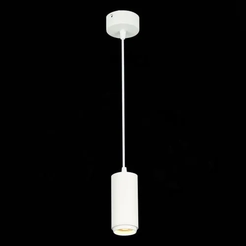 Подвесной светодиодный светильник ST Luce Zoom ST600.533.10  фото 2