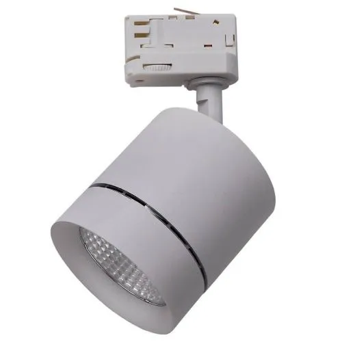 Трековый светодиодный светильник Lightstar Canno Led 301592 