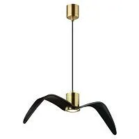 Подвес SONEX Birds 4900/1C стекло чёрный 