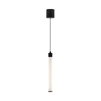 Подвесной светильник Maytoni Ray P022PL-L10B 